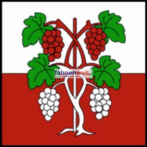 Gemeindefahne 1096 Villette Ehemalige Gemeinde