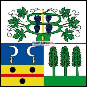 Gemeindefahne 1786 Bas-Vully Ehemalige Gemeinde