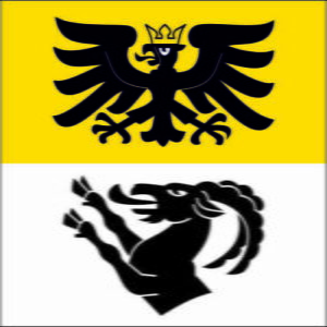 Gemeindefahne 3806 Boenigen