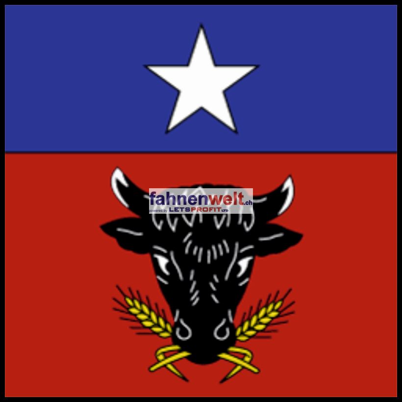 Gemeindefahne 3983 Mörel-Filet