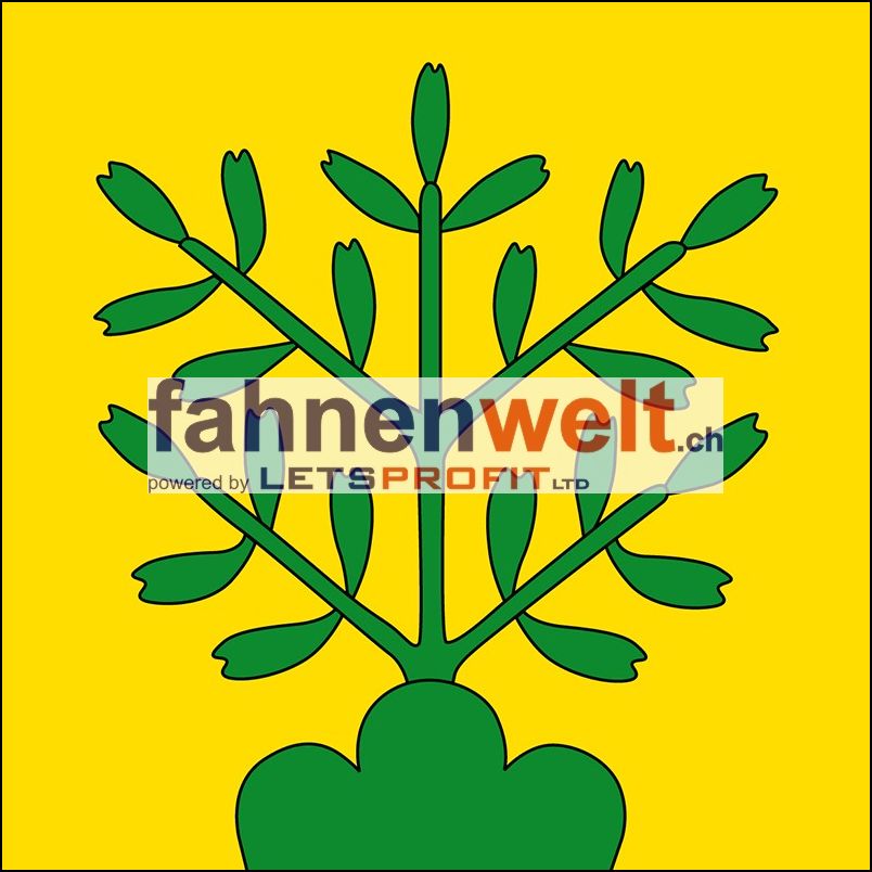 Gemeindefahne 4625 Oberbuchsiten