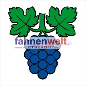Gemeindefahne 5112 Thalheim