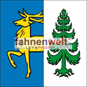 Gemeindefahne 5424 Ehrendingen