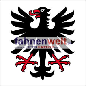 Gemeindefahne 5707 Seengen