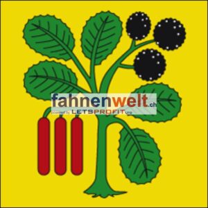 Gemeindefahne 6402 Merlischachen Ehemalige Gemeinde