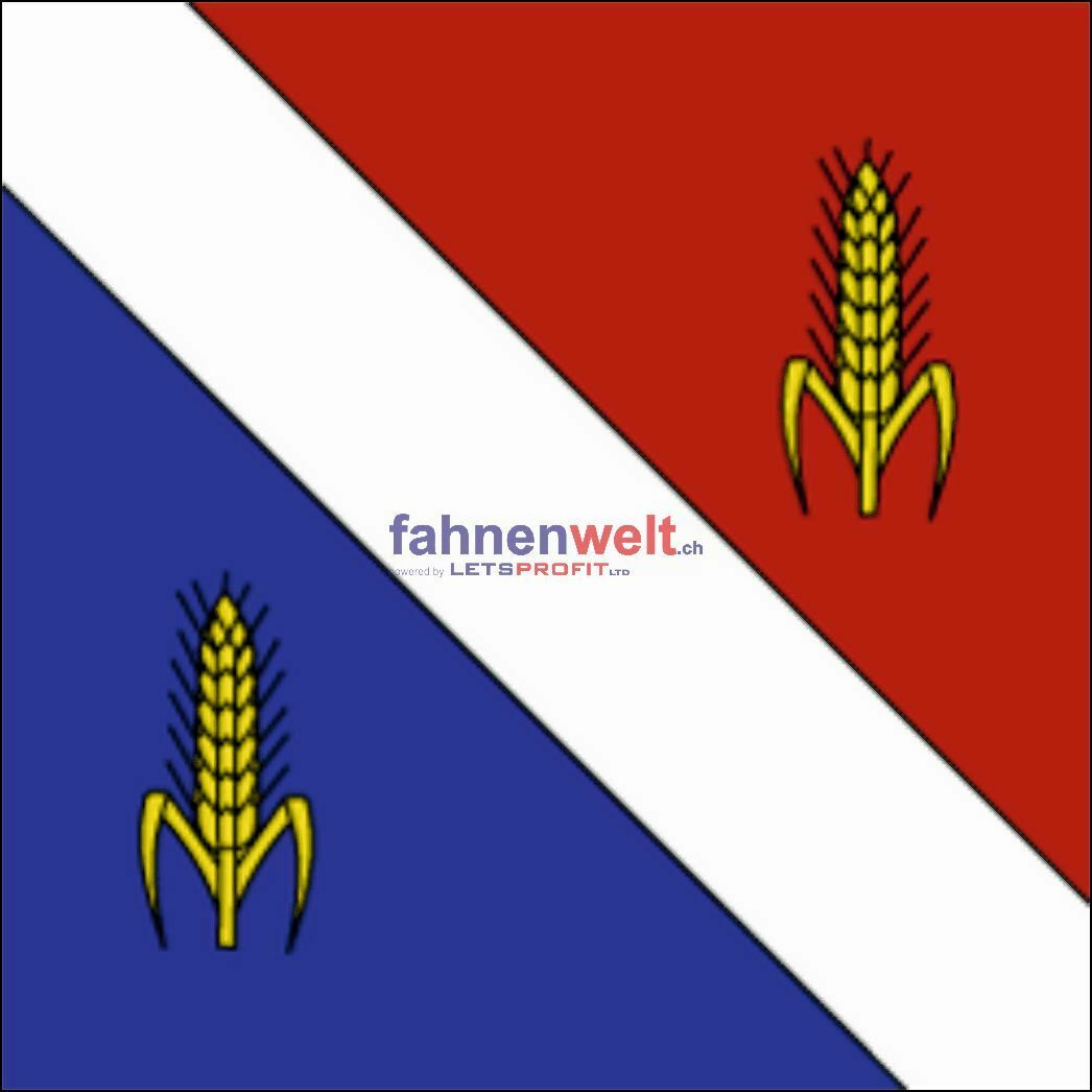 Gemeindefahne 6853 Ligometto Ehemalige Gemeinde