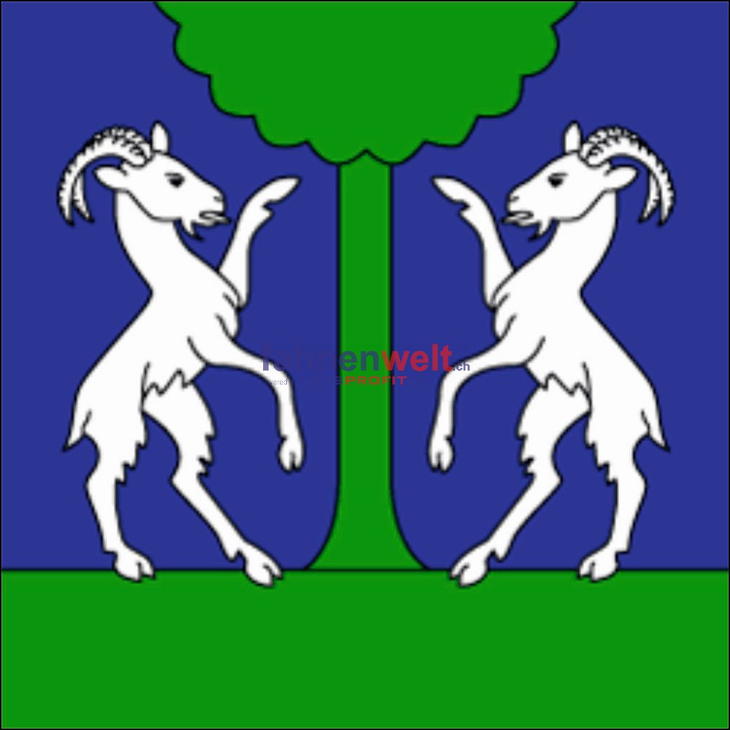 Gemeindefahne 6954 Sala Ehemalige Gemeinde