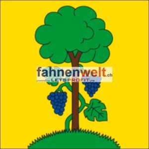 Gemeindefahne 8203 Buchthalen Ehemalige Gemeinde