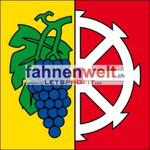 Gemeindefahne 8222 Beringen