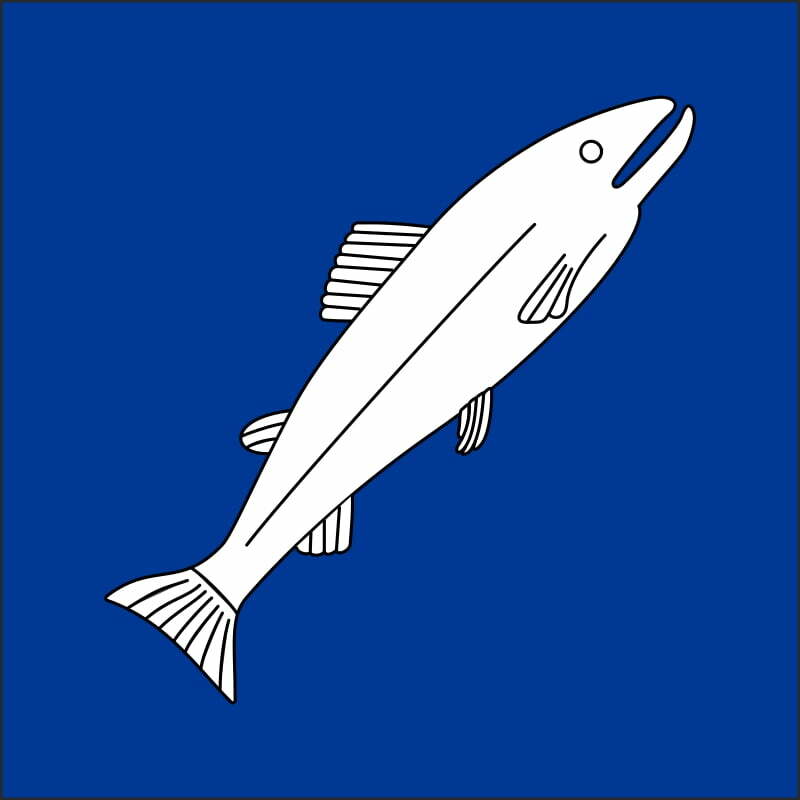 Gemeindefahne 8462 Rheinau