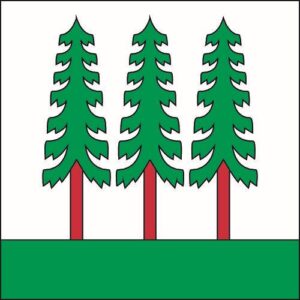 Gemeindefahne 8636 Wald