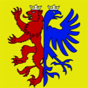 Fahne Region Grafschaft Toggenburg (alt) (SG)