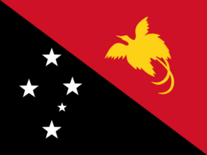 Länderfahne Papua-Neuguinea aus dem SLF-Stoff in schöner Qualität
