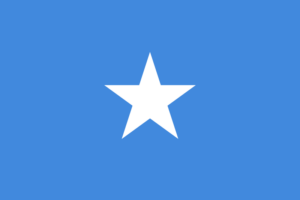 Länderfahne Somalia aus dem SLF-Stoff in schöner Qualität